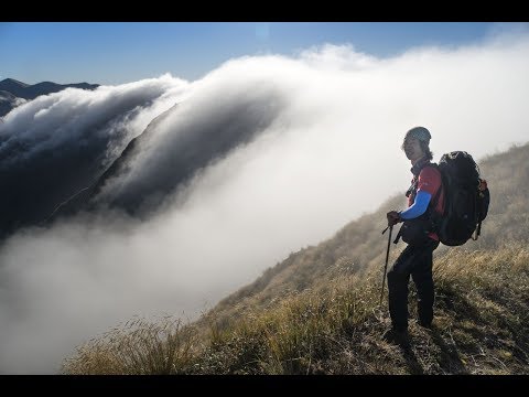 Tramping in Tararua range