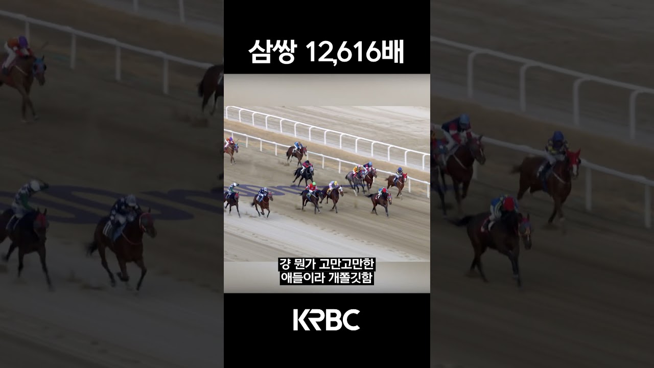 배당이 몇 배라고???  #shorts #경마방송 #기수 #경주마 #경마 #KoreaHorseRacing #koreahorseracing