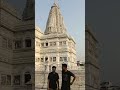 Little Glimpse of Vrindavan #radherahde #vrindavan