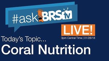 Do you feed your corals? | #AskBRStv Live w/ Ryan & Randy