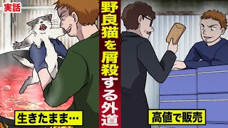 【実話】野良猫を屠殺する闇の業者。茹でた猫肉を...高値で販売していた。