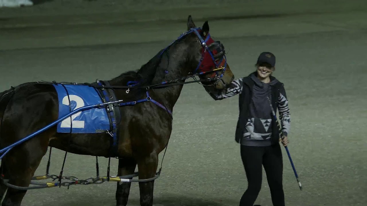 Flamboro Downs Live Video Flamboro Downs Live Video