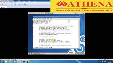 Báo cáo thực tập Athena Lab - Cài đặt dịch vụ DHCP trên Linux