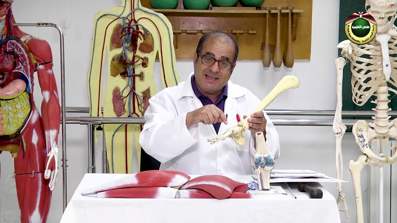 فلات القدم  |  صحتك بإيدك 2020