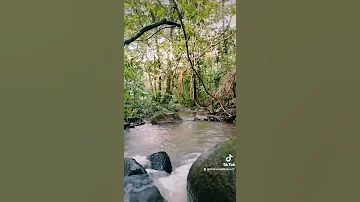 فيروز وديع الصافي سهرة الحب 