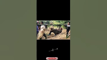 Mưa lớn lũ quét gây ngập lụt và thiệt hại nặng  cho tỉnh Yên Bái #ngaplut