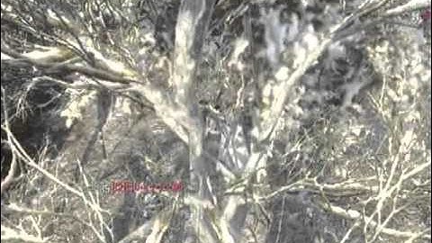 across map tomahawk montage