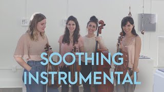 Warm,  Minimalistic, Soothing, short film music 💓  - String Quartet Music -  A Lot of Little Things