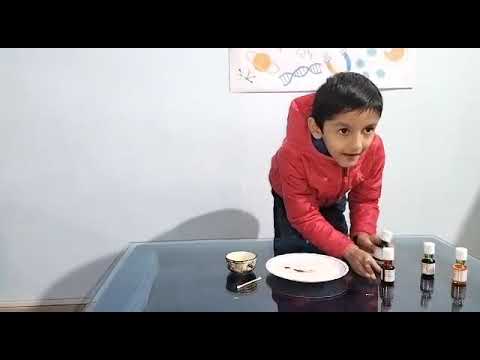Easiest Science Experiment- Milk Rainbow 🌈  Explosion