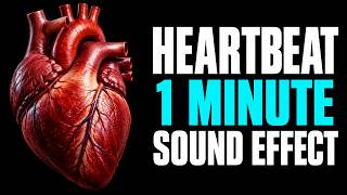 Heartbeat Sound Effect - 1 Minute | Soft Double Thumps screenshot 1