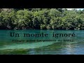 Un Monde Ignoré - Plongée parmi les poissons du Rhône / Diving with Rhône river's fishes