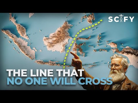 The Invisible Line