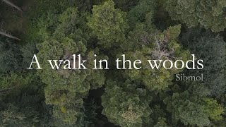 Sibmol - A walk in the woods