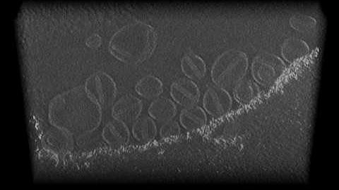 CryoTEM tomography of liposomal doxorubicin sample