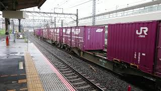 19/7/4 吹田A31運用 5097レ EF66-127 サメ 大船駅通過