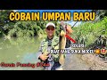 COBAIN UMPAN TERBARU DAN LANGSUNG AMIS🤩💥‼️JEBREETTT JEBREETT JEBRET💥‼️ Tips Casting Gabus Anti Mocel