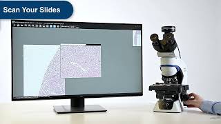 Microvisioneer mvSlide - Manual Scanning for Olympus and Carl Zeiss Axiocam Microscope Cameras screenshot 2