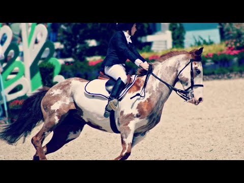 MIDDLE OF THE NIGHT Equestrian Music Video