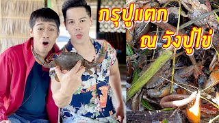 กรุปูแตก ณ วังปูไข่ | เอิร์ธอาร์มตะลุย