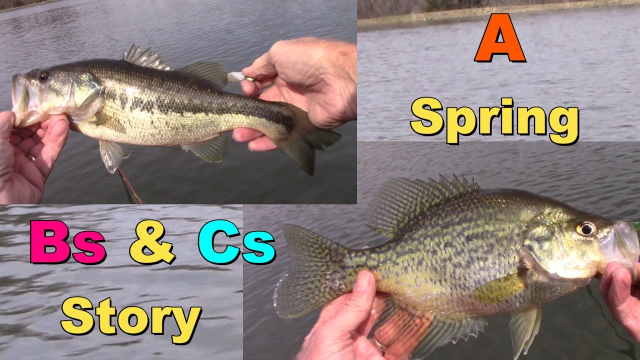 A Spring BASS and CRAPPIE Story (Three Great Lures for Chasing