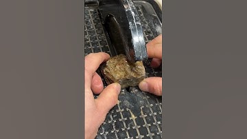 I love cutting random rocks open to see what patterns are inside!