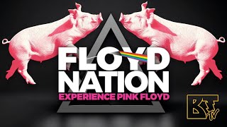 Floyd Nation Experience Pink Floyd Live (Champaign, Illinois, April 27, 2024)