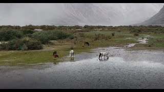 Nubra Valley | Exploring Leh-Ladakh June - 2022