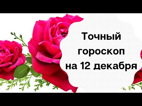 Астролог Прогноз На Завтра