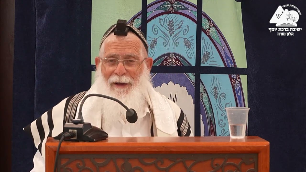 דפנות הסוכות | הלכות סוכה | הרב אליקים לבנון | 9