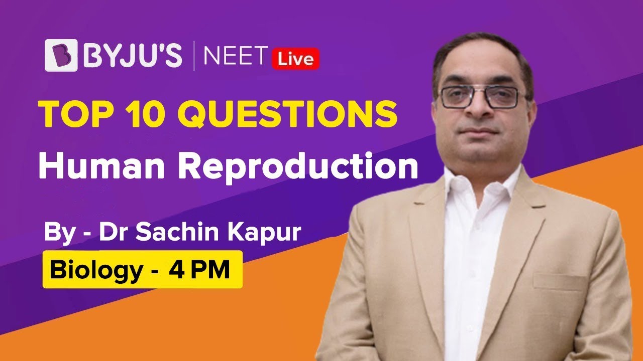 Human Reproductive System - Male and Female Reproductive Organs Human Reproductive System - Male and Female Reproductive Organs