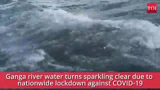 How Clean is Ganga River during lockdown | Lockdown saves 350 million USD