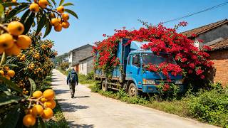 No Tourists. No Filters. Just Real Rural China Living in Full Bloom | Cinematic 4K Walk