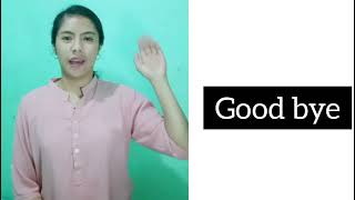 Polite Expressions ( ASL sign language)