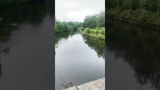 The Beautiful River Irwell, Manchester, UK #nature #river