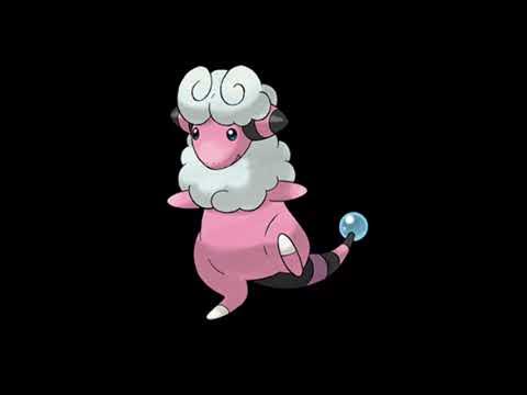 モココ鳴き声 Youtube