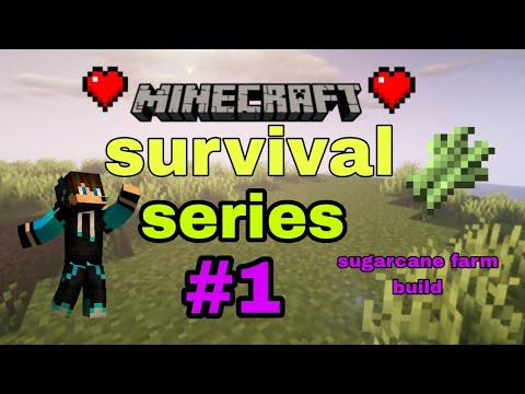 Minecraft PE Survival Series Ep 1 in Hindi | My First Video 🔥 - YouTube
