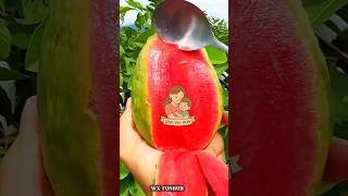 संदीप का नीचे बैठने का राज #shorts #funny #comedy #video #viral