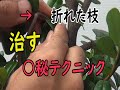 折れてもこれで治せます○秘テクニック[111]