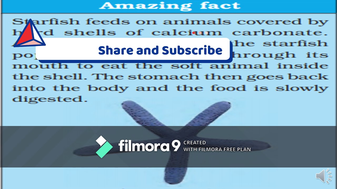 Class 7 Lesson 2 Nutrition In Animals Part 1 - YouTube