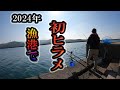 【ヒラメ釣り】今年も、この簡単仕掛けで、ヒラメ釣りました！