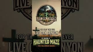 Live Oak Canyons First Haunted Maze - The Hollow