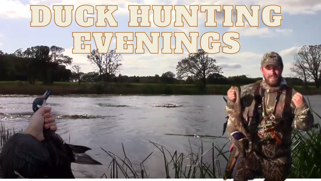 DUCK HUNTING CENTRAL | WISCONSIN EVENING 2019!! CRUSHING DUCKS!!