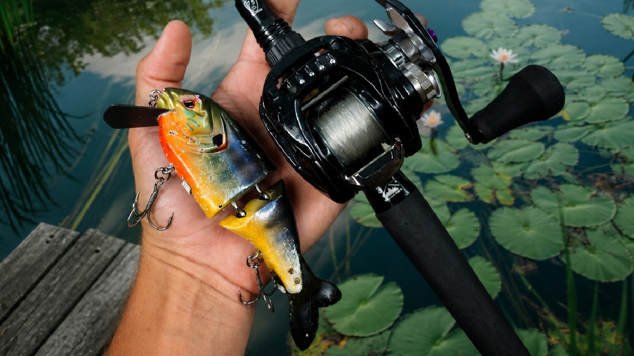 Fishing Fast and Shallow for Big Summer Bass