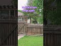 free fly and run #youtube #subscribe #viral #shortvideo #shorts #video
