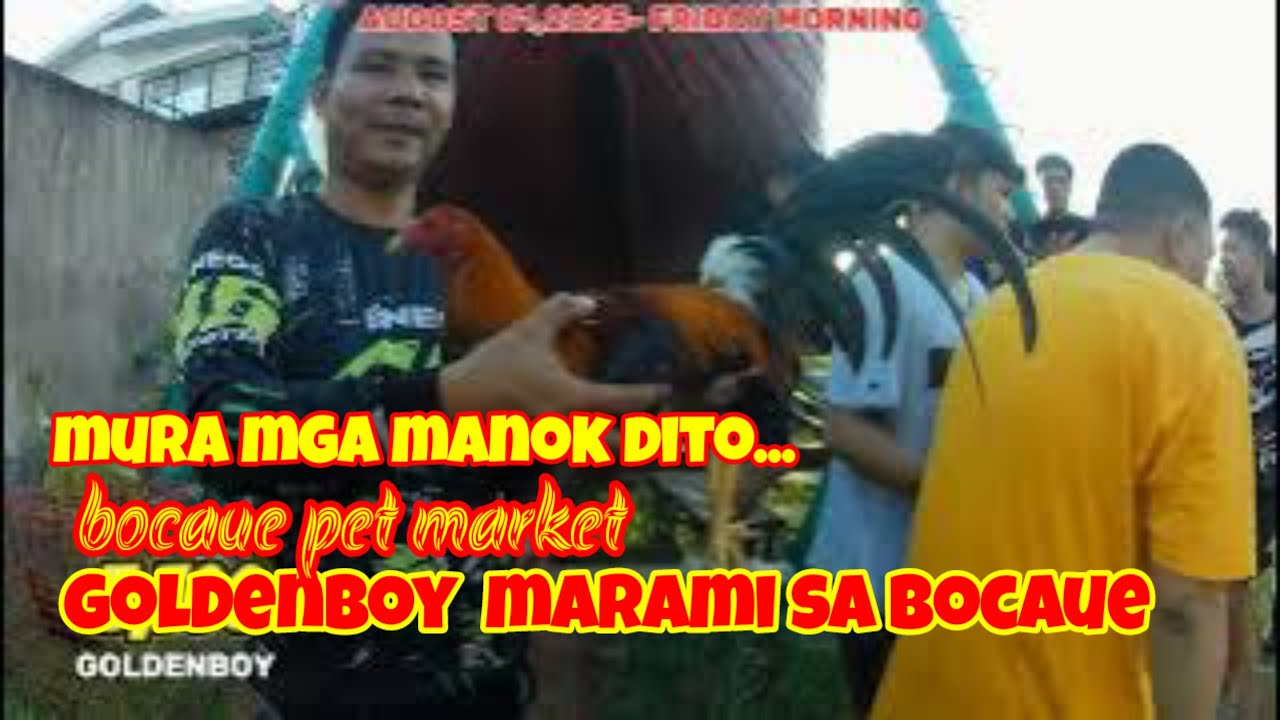 August 15, 2025...bocaue pet market price update, MARAMING seller MGA MAGAGANDANG LINYADA MGA dala.