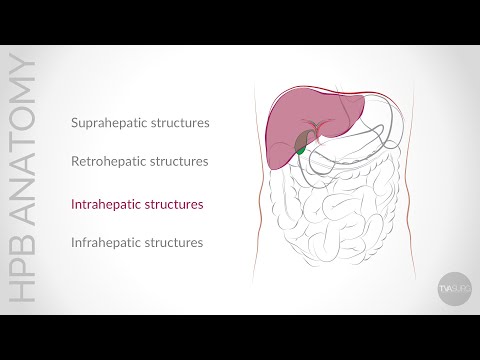 Update on Conventional Hepato-Pancreato-Biliary (HPB) Anatomy: Intra-hepatic anatomy