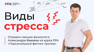 Виды стресса | Ассоциация Профессионалов Фитнеса (FPA)