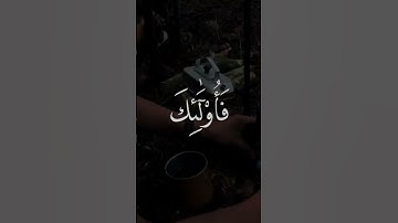 سورة الإسراء : الآيه ١٩🤍. #القارئ_بدر_التركي #بدر_التركي #سورة_الإسراء #قرآن #تلاوات