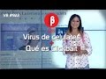 Versión Beta 922 Virus para celulares + Qué es clickbait [programa completo]