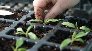 Что ждать белорусскому бизнесу в 2017-м